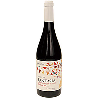 Wein aus Spanien, g.U. Catalunya, rot, trocken