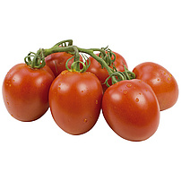 Tomaten - Eierstrauchtomaten