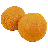 Orangen - Saftorangen