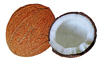 Kokosnuss Stück