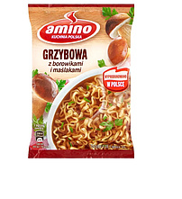 Pilzsuppe "Zupa Grzybowa z borowikami i maslakami"