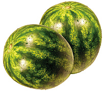 Melonen - Wassermelonen kernlos