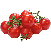 Keříčková rajčata