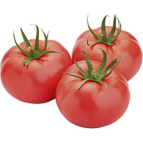 Tomaten "Sweet Pink"