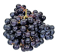Trauben - Weintrauben blau