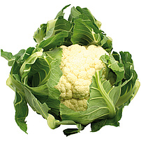 Blumenkohl