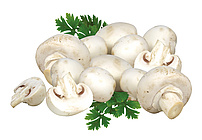 Champignons weiß