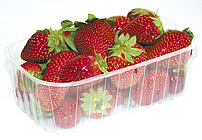 Beere - Erdbeeren  Schale