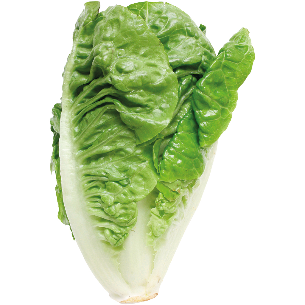 Salat Romana