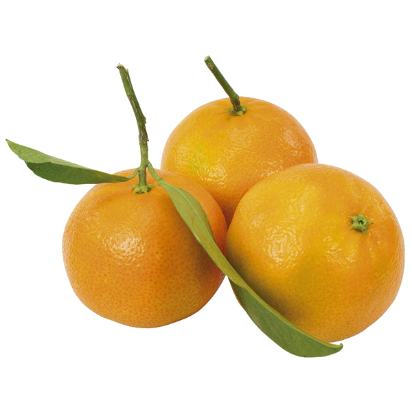 Clementinen mit Blätter