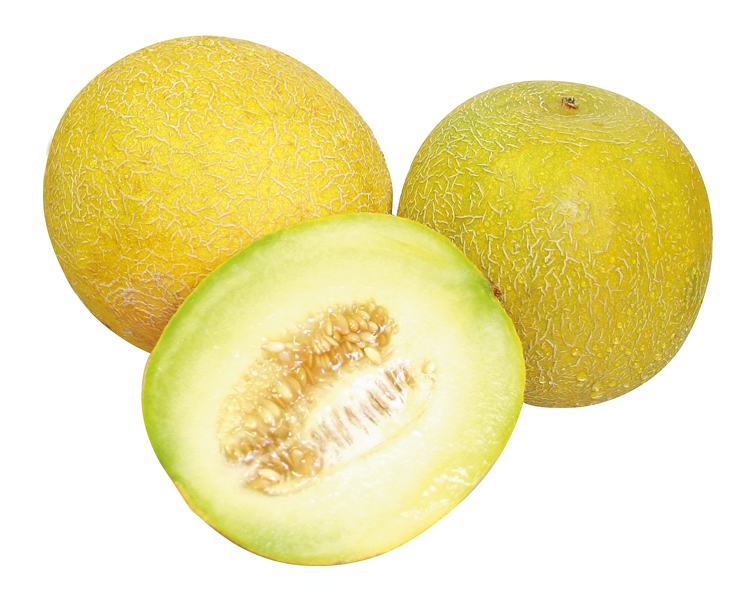 Melonen - Galia