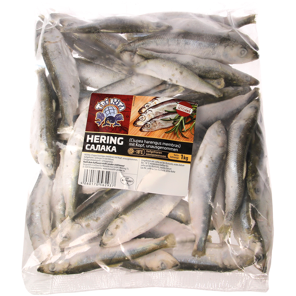 Strömling - Hering mit Kopf, unausgenommen, tiefgefroren