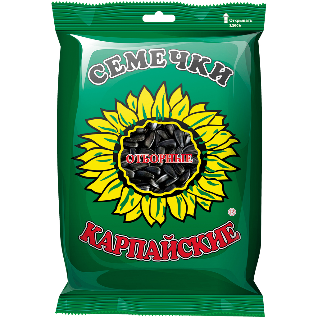 Geröstete schwarze Sonnenblumenkerne mit Schale,  "Karpaysky otbornye"