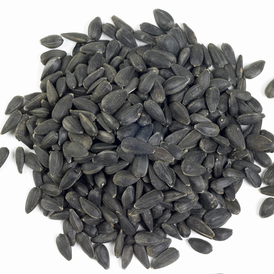 Schwarze Sonnenblumenkerne mit Schale, roh. /lose
