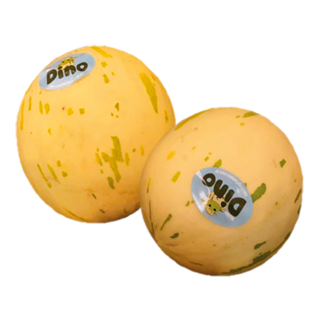 Melonen "Dino"