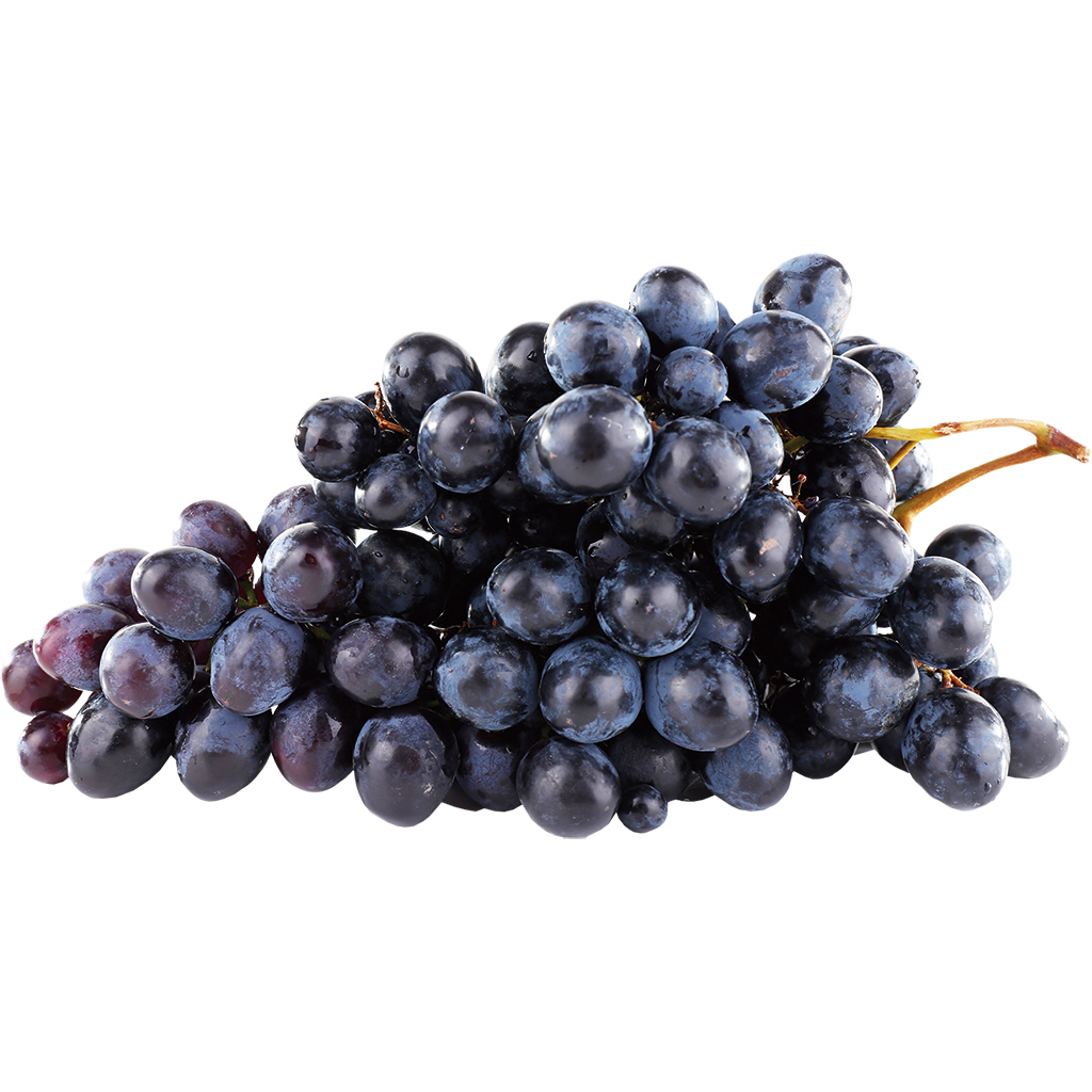 Trauben - Weintrauben blau