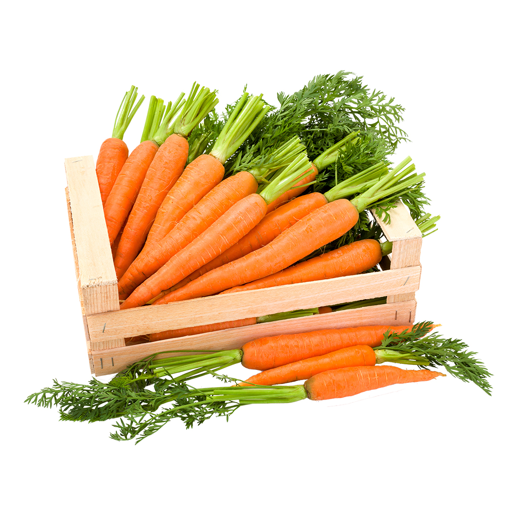 Karotten/Möhren