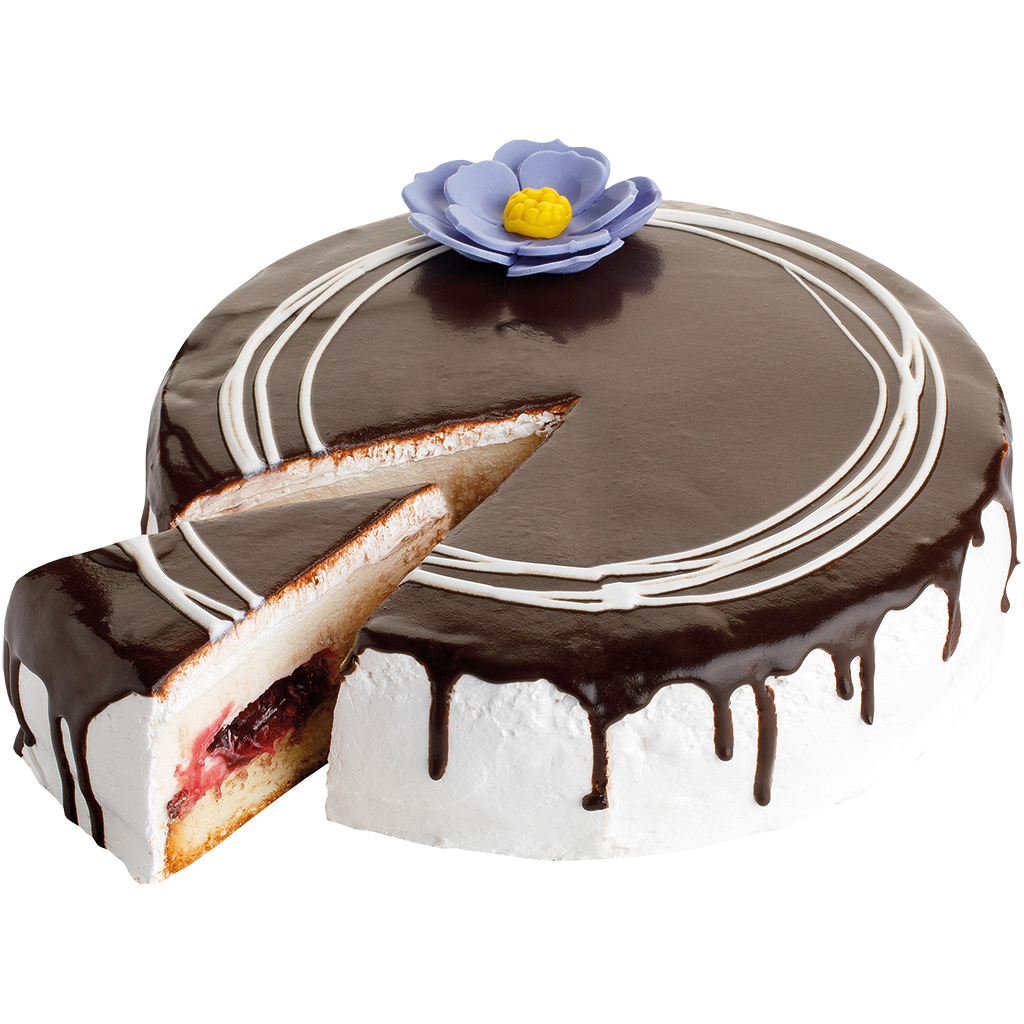 Krem torta sa masnom glazurom na bazi kakaa, šećernom glazurom i punjenjem od crnog ribiza, smrznuta