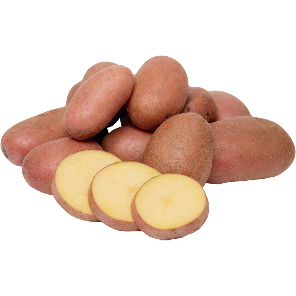 Kartoffeln rot
